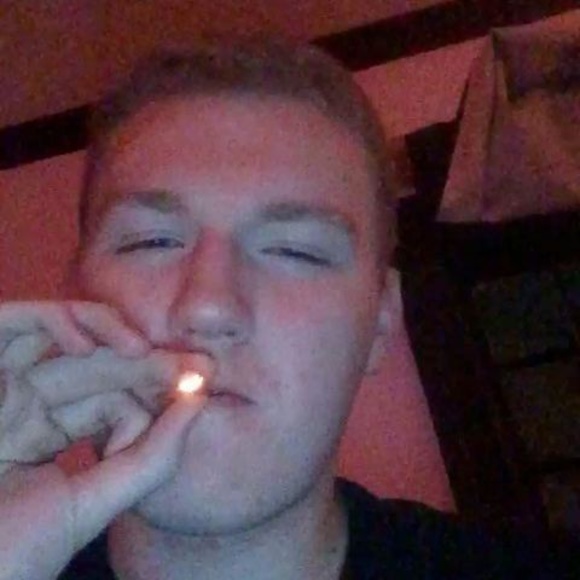 Meet your Posher, Justin - Picture 1 of 1